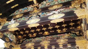 元離宮二条城に投稿された画像（2022/3/6）