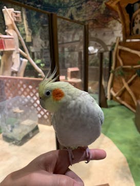 Moff animal world MARK IS みなとみらい店に投稿された画像（2022/3/6）