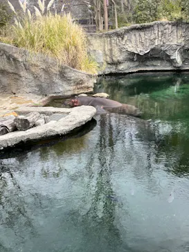 天王寺動物園に投稿された画像（2022/3/6）