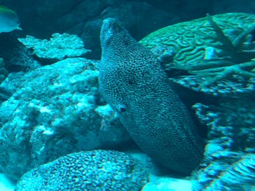 名古屋港水族館に投稿された画像（2022/3/6）