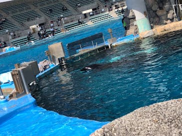 名古屋港水族館に投稿された画像（2022/3/6）