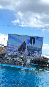名古屋港水族館に投稿された画像（2022/3/6）