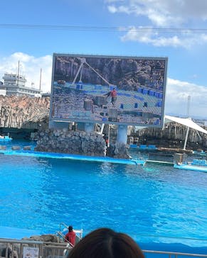 名古屋港水族館に投稿された画像（2022/3/6）