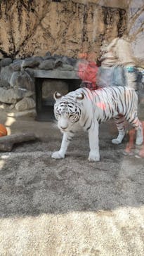 東武動物公園に投稿された画像（2022/3/6）