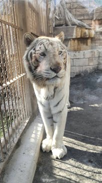 東武動物公園に投稿された画像（2022/3/6）