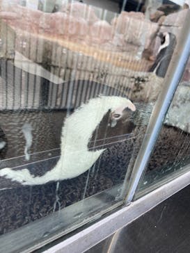 京都水族館に投稿された画像（2022/3/6）