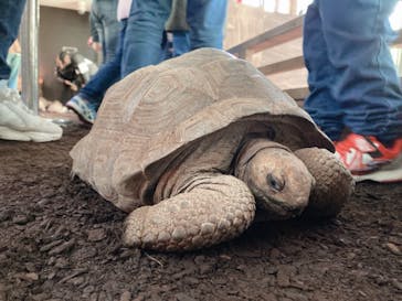 体感型動物園iZooに投稿された画像（2022/3/6）