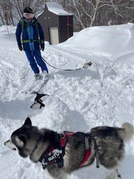 野沢温泉スキー場に投稿された画像（2022/3/6）