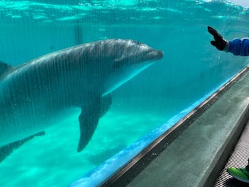しながわ水族館に投稿された画像（2022/3/6）