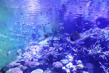 名古屋港水族館に投稿された画像（2022/3/6）