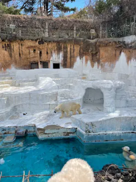 天王寺動物園に投稿された画像（2022/3/6）
