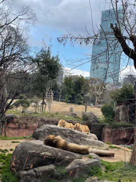 天王寺動物園に投稿された画像（2022/3/6）