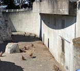 東武動物公園に投稿された画像（2022/3/6）