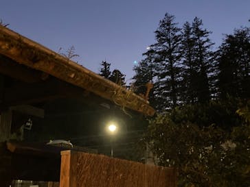 箱根湯寮に投稿された画像（2022/3/6）