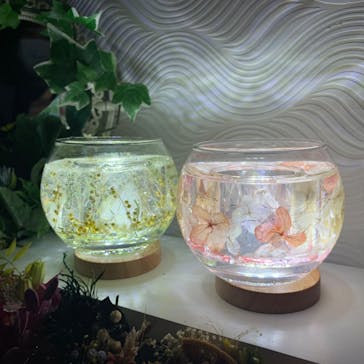 ずこうしつ〜sugamo〜に投稿された画像（2022/3/6）