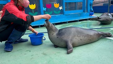 ゼロ距離水族館 伊勢シーパラダイスに投稿された画像（2022/3/6）