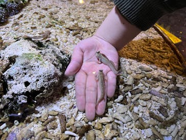 ゼロ距離水族館 伊勢シーパラダイスに投稿された画像（2022/3/6）