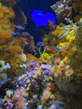 サンシャイン水族館に投稿された画像（2022/3/6）