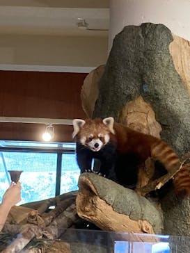 ネオパークオキナワに投稿された画像（2022/3/6）