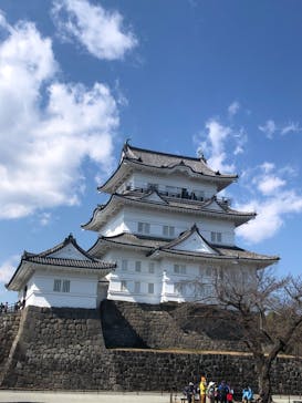 小田原城に投稿された画像（2022/3/6）