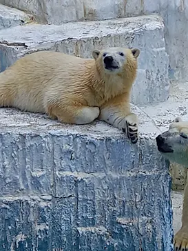 天王寺動物園に投稿された画像（2022/3/6）