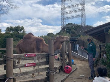 よこはま動物園ズーラシアに投稿された画像（2022/3/6）