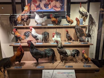 国立科学博物館に投稿された画像（2022/3/6）