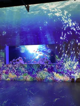 マクセル アクアパーク品川に投稿された画像（2022/3/6）