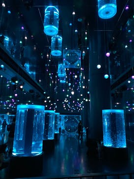 マクセル アクアパーク品川に投稿された画像（2022/3/6）