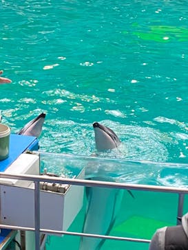 マクセル アクアパーク品川に投稿された画像（2022/3/6）