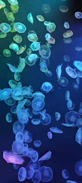 すみだ水族館に投稿された画像（2022/3/6）