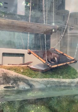 サンシャイン水族館に投稿された画像（2022/3/6）