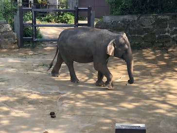 沖縄こどもの国に投稿された画像（2022/3/6）