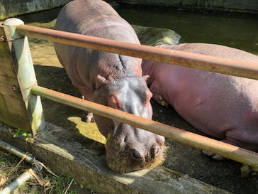 沖縄こどもの国に投稿された画像（2022/3/6）