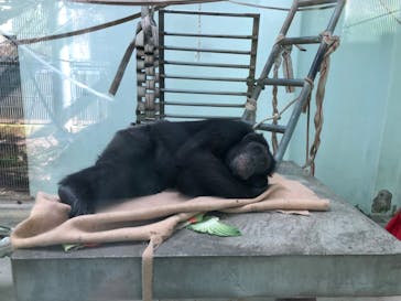 沖縄こどもの国に投稿された画像（2022/3/6）