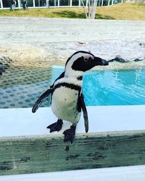 マリンワールド海の中道に投稿された画像（2022/3/6）