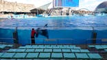 名古屋港水族館に投稿された画像（2022/3/7）