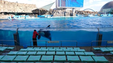 名古屋港水族館に投稿された画像（2022/3/6）