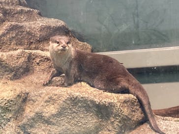 サンシャイン水族館に投稿された画像（2022/3/6）