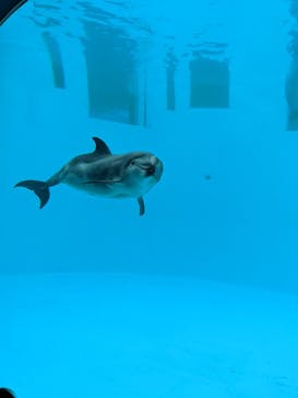名古屋港水族館に投稿された画像（2022/3/6）