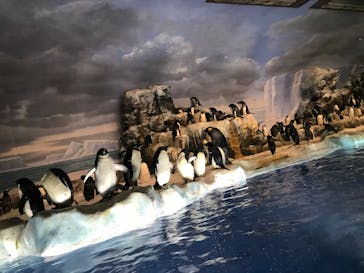 名古屋港水族館に投稿された画像（2022/3/6）