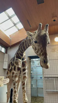 天王寺動物園に投稿された画像（2022/3/6）