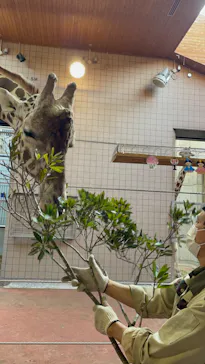 天王寺動物園に投稿された画像（2022/3/6）