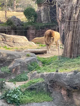 天王寺動物園に投稿された画像（2022/3/6）