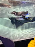 すみだ水族館に投稿された画像（2022/3/7）