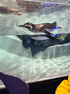 すみだ水族館に投稿された画像（2022/3/7）
