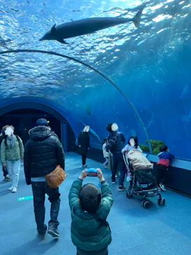 横浜・八景島シーパラダイスに投稿された画像（2022/3/7）