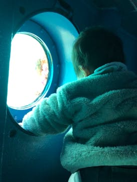 串本海中公園水族館に投稿された画像（2022/3/6）