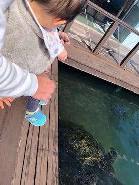 串本海中公園水族館に投稿された画像（2022/3/6）