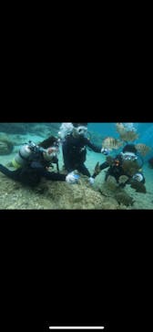 武藤潜水に投稿された画像（2022/3/7）